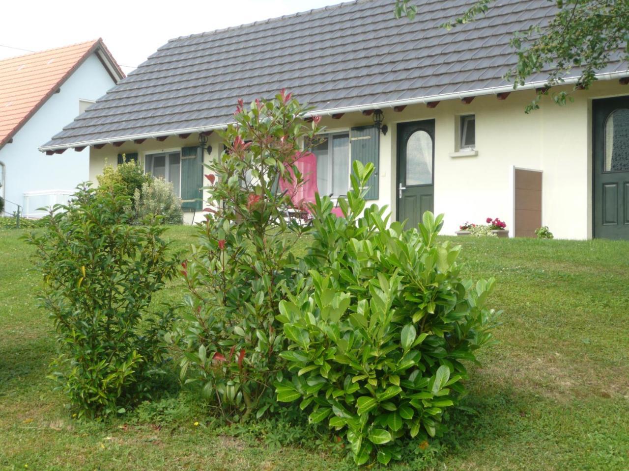 Bed and Breakfast Chez Anny et Jean Au Mittelbuehl Reichshoffen Exterior foto